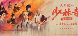 Rising Shaolin The Protector (2021) Dual Audio Hindi ORG WEB-DL H264 AAC 720p 480p ESub