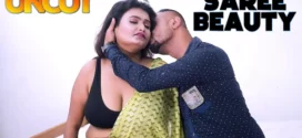 Saree Beauty (2023) UNCUT Hindi NiFlix Short Film 720p Watch Online