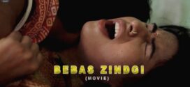 Bebas Zindgi (2023) Hindi HalKut Short Film 720p Watch Online