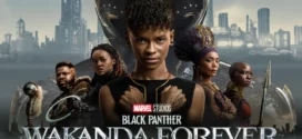 Black Panther Wakanda Forever (2022) Dual Audio Hindi ORG BluRay x264 AAC 1080p 720p 480p ESub