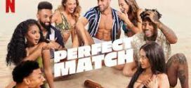 Perfect Match 2023 S01 Dual Audio Hindi ORG NF Web Series WEB-DL H264 AAC 1080p 720p 480p ESub