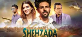 Shehzada (2023) Hindi HQ PreDVDRip x264 AAC 1080p 720p 480p Download