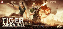 Tiger Zinda Hai (2017) Hindi BluRay H264 AAC 1080p 720p 480p ESub