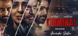 Criminal (2022) Punjabi CHTV WEB-DL H264 AAC 1080p 720p 480p ESub
