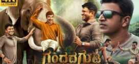 Gandhada Gudi (2022) Dual Audio [Hindi HQ-Kannada] WEB-DL H264 AAC 1080p 720p 480p Download