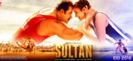 Sultan (2016) Hindi BluRay x264 AAC 1080p 720p 480p ESub