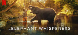The Elephant Whisperes (2022) Dual Audio Hindi ORG NF WEB-DL H264 AAC 1080p 720p 480p ESub