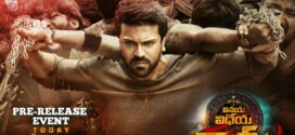 Vinaya Vidheya Rama (2019) UNCUT Dual Audio Hindi ORG WEB-DL H264 AAC 2160p 1080p 720p 480p ESub