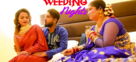 Weeding Nights (2023) UNCUT Hindi QueenStarDesi Short Film 720p Watch Online