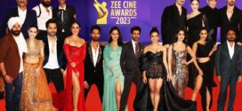 Zee Cine Awards (2023) Main Event Hindi WEB-DL H264 AAC 1080p 720p 480p Download