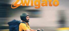 Zwigato (2023) Hindi HQ PreDVDRip x264 AAC 1080p 720p 480p Download