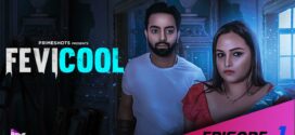 Fevicool (2023) S01E01 Hindi PrimeShots Hot Web Series 720p Watch Online
