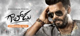 Gaalodu (2022) Dual Audio [Hindi HQ-Telugu] WEB-DL H264 AAC 1080p 720p 480p Download