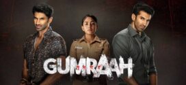 Gumraah (2023) Hindi HQ S-Print x264 AAC 1080p 720p 480p Download