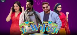 Ji Wife Ji (2023) Punjabi AMZN WEB-DL H264 AAC 1080p 720p 480p ESub