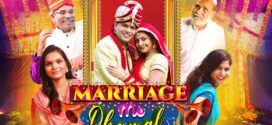 Marriage Me Dhamal (2023) Hindi AMZN WEB-DL H264 AAC 1080p 720p 480p ESub