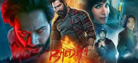 Bhediya (2022) Hindi Jio WEB-DL H264 AAC 1080p 720p 480p Download