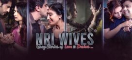 NRI Wives (2023) Hindi HQ S-Print x264 AAC 1080p 720p 480p Download