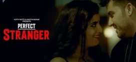 Perfect Stranger (2023) Hindi HottyNotty Short Film 720p Watch Online