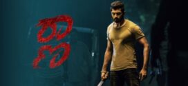 Raana (2022) UNCUT Dual Audio Hindi ORG WEB-DL H264 AAC 1080p 720p 480p ESub