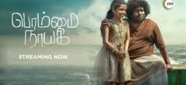 Bommai Nayagi (2023) Dual Audio [Hindi HQ-Tamil] WEB-DL H264 AAC 1080p 720p 480p Download