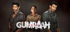 Gumraah (2023) Hindi NF WEB-DL H264 AAC 1080p 720p 480p ESub