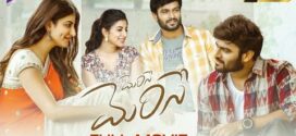 Merise Merise (2021) UNCUT Dual Audio Hindi ORG WEB-DL H264 AAC 1080p 720p 480p ESub