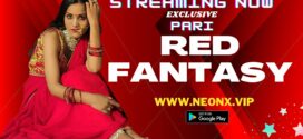 Red Fantasy (2023) UNCUT Hindi NeonX Hot Short Film 1080p Watch Online