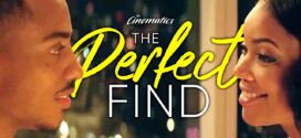 The Perfect Find (2023) Dual Audio Hindi ORG NF WEB-DL H264 AAC 1080p 720p 480p ESub