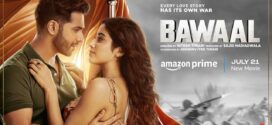 Bawaal (2023) Hindi AMZN WEB-DL H264 AAC 1080p 720p 480p ESub