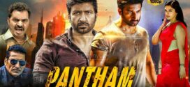 Pantham (2018) UNCUT Dual Audio Hindi ORG WEB-DL H264 AAC 1080p 720p 480p ESub