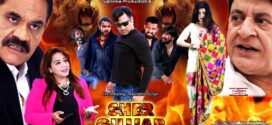 Sher Gujjar (2022) Hindi WEB-DL H264 AAC 1080p 720p 480p Download