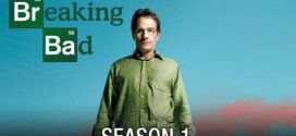 Breaking Bad (2008) S01E01 Dual Audio Hindi ORG HDTVRip x264 AAC 01080p 720p Download