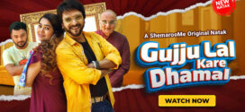Gujju Lal Kare Dhamal (2023) Gujarati SM WEB-DL H264 AAC 1080p 720p 480p ESub