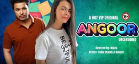 Angoor (2023) Hindi Uncut HotX Hot Short Film 1080p Watch Online