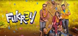 Fukrey 3 (2023) Hindi PreDVDRip x264 AAC 1080p 720p 480p Download