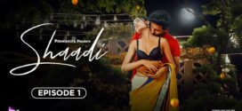 Shaadi (2023) S01E01-02 Hindi PrimeShots Hot Web Series 1080p Watch Online