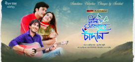 Neel Akasher Chadni (2009) Bengali WEB-DL H264 AAC 1080p 720p 480p Download