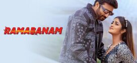 Ramabanam (2023) Hindi Dubbed ORG HDTVRip x264 AAC 1080p 720p 480p Download