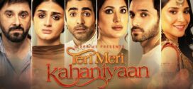 Teri Meri Kahaniyaan (2023) Urdu WEB-DL H264 AAC 1080p 720p 480p ESub