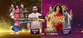 Indias Got Talent (2023) S10E30 Hindi SonyLiv WEB-DL H264 AAC 1080p 720p 480p Download [Grand Finale]