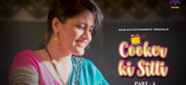 Cooker Ki Sitti (2023) S01E03-05 Hindi WowEntertainment Hot Web Series 1080p Watch Online