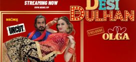 Desi Dulhan (2023) Hindi Uncut NeonX Hot Short Film 720p Watch Online
