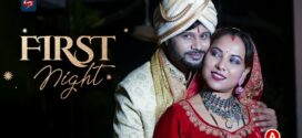First Night (2023) Hindi Uncut HotS Hot Short Film 1080p Watch Online