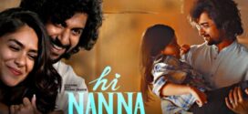 Hi Nanna (2023) Dual Audio [Hindi-Tamil] PreDVDRip x264 AAC 1080p 720p 480p Download