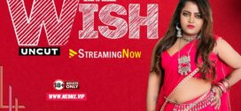 Wish (2023) Hindi Uncut NeonX Hot Short Film 720p Watch Online
