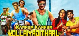 Kannum Kannum Kollaiyadithaal (2020) UNCUT Dual Audio Hindi ORG WEB-DL H264 AAC 1080p 720p 480p ESub