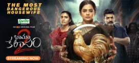 Bhama Kalapam 2 (2024) Telugu Aha WEB-DL H264 AAC 2160p 1080p 720p 480p ESub