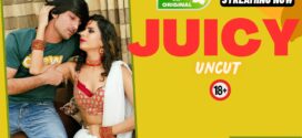 Juicy (2024) Hindi Uncut NeonX Short Film 1080p Watch Online