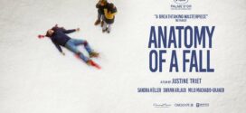 Anatomy Of A Fall (2023) Dual Audio Hindi ORG BluRay H264 AAC 1080p 720p 480p ESub
